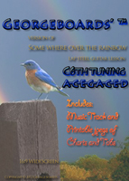 somewhere over the rainbow button